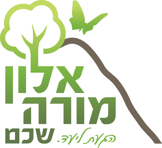 לוגו