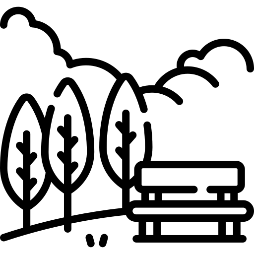 מצפים