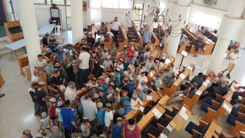אבות ובנים(3).jpg