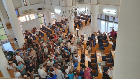 אבות ובנים(12).jpg