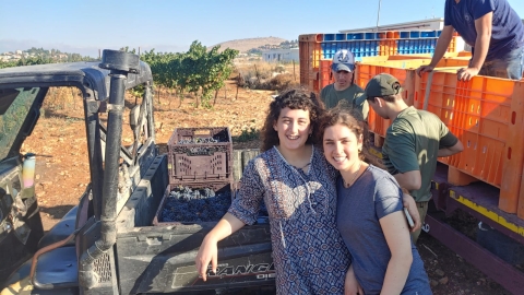 בציר בכרמים (25).jpg