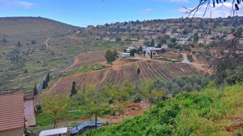 נוף .jpg