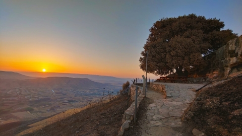 נופים אלון מורה (25).jpg