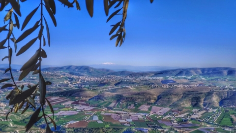 נופים אלון מורה (72).jpg