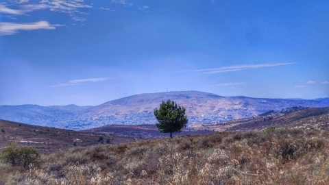 נופים אלון מורה (63).jpg