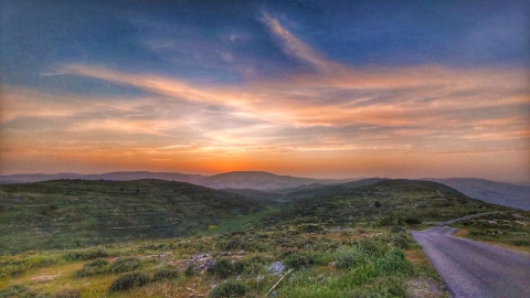 נופים אלון מורה (22).jpg