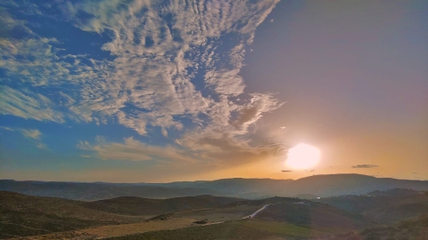 נופים אלון מורה (46).jpg