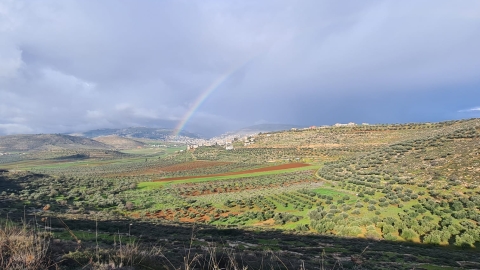 נופים אלון מורה (84).jpg