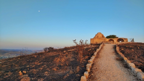 נופים אלון מורה (75).jpg