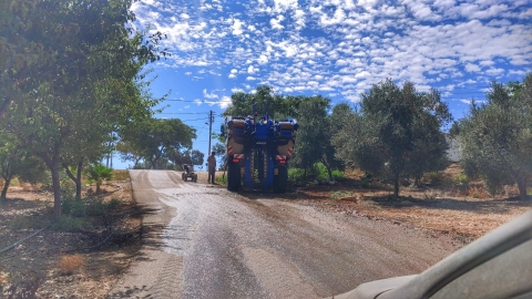 נופים אלון מורה (29).jpg