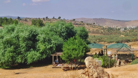 נופים אלון מורה (28).jpg