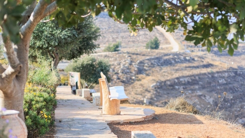 נופים אלון מורה (34).jpg