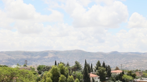 נופים אלון מורה (62).jpg