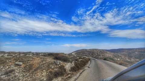 נופים אלון מורה (74).jpg
