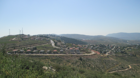 ‏‏לכידה.PNG